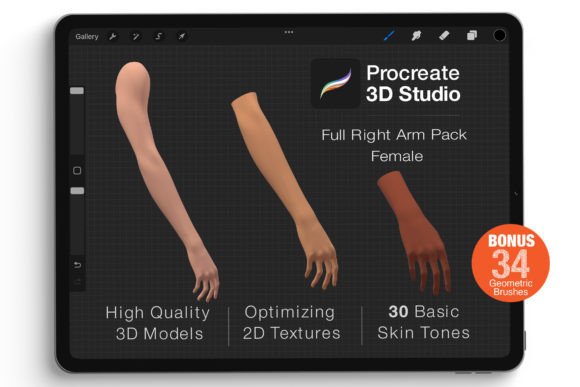 Procreate 3D Model - Right Arm Female: A Versatile Tool for Digital Artists