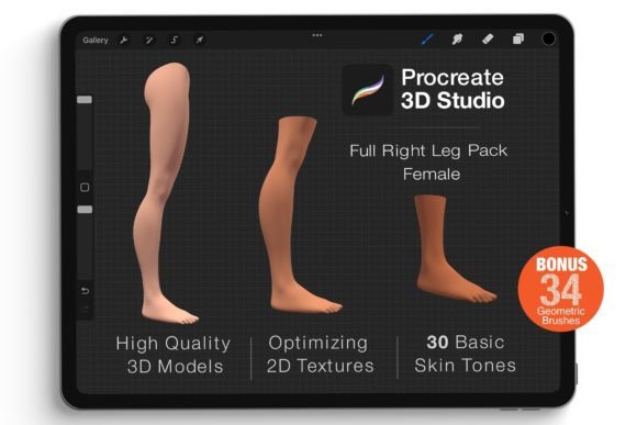 Revolutionizing Digital Art: The Power of the Procreate 3D Model - Right Leg Female and Its Impact on Creative Workflows